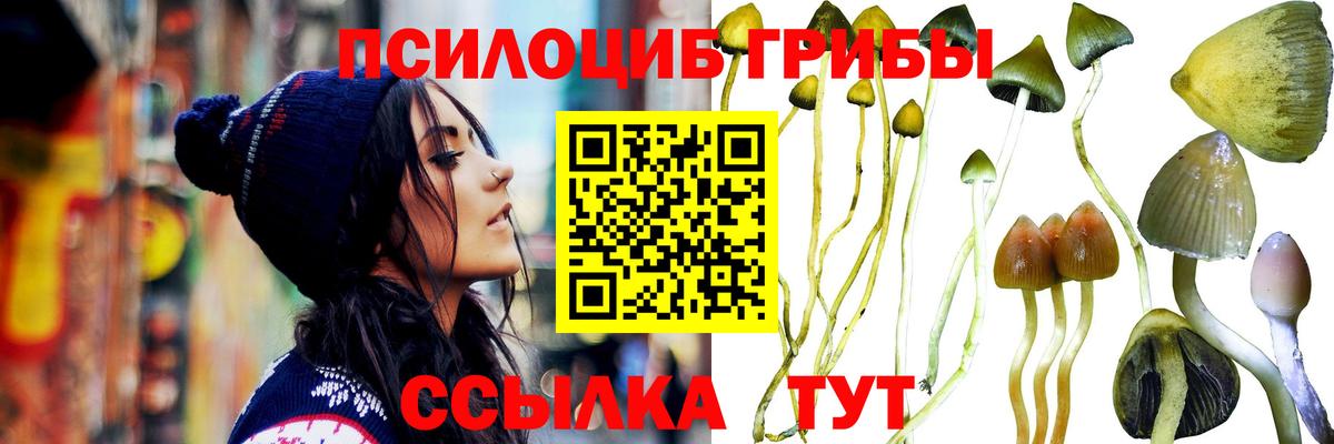 Псилоцибиновые грибы Psilocybine cubensis Белореченск